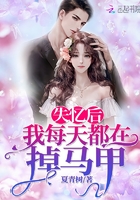 芸娘电视剧32集全集免费观看
