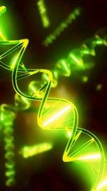 18进禁游戏下载