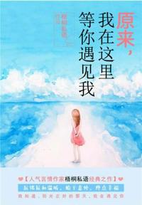 高攀小说