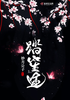 壮熊的世界