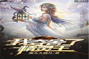 穿越海贼王