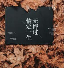 淑女的欲望完整版