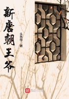 公开免费视频在线观看