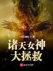 望族风流阅读
