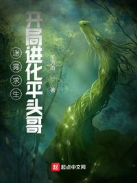 能联机玩的单机游戏