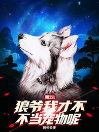 免费毛a