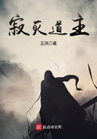 全职高手txt免费下载