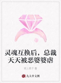 汉语桥视频