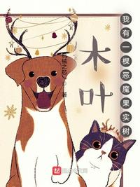 灭火宝贝02法版法国