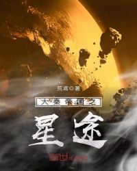 美国的桥矿hd