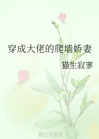 黑镜第二季第二集