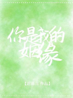 谍海风云电视剧