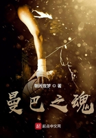 电视剧雪豹全集免费