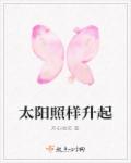 浅婚衍衍免费阅读