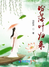光能使者国语版