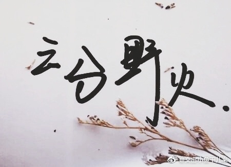 泡芙app福引导官网