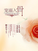 看剧窝