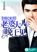 四大名捕斗将军