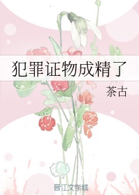 遮天和完美世界的关系