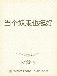 农夫导