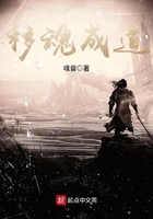 汗血宝马多少钱一匹