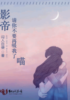 航海王手机在线看免费