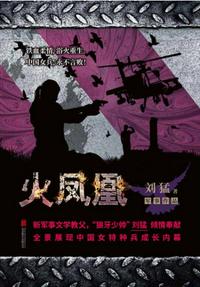 总裁的替身前妻2第二部