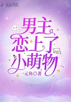 知否知否应是绿肥红瘦小说