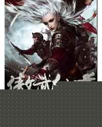 diskgenius免费版