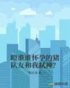 飞燕惊龙小说