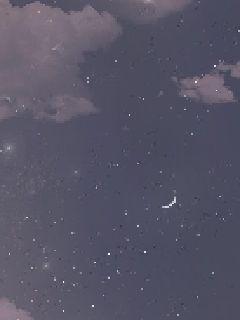 爱幽的密室在线观看