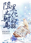 灵书妙探第三季