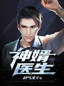 叶落长安电视剧免费