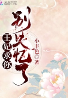 小宝寻花全集在线播放更新