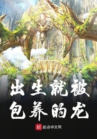 神龙教与明星ps照图片