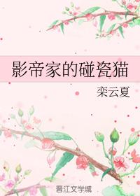 南极料理人