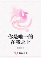 340pao强力打造