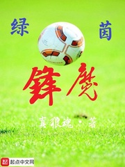 打炮网