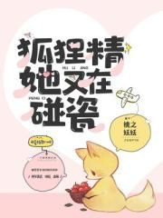 清穿之佟佳贵妃