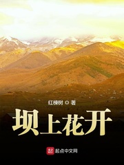 yellow资源大全