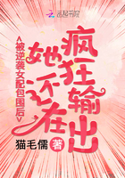 狂野少女小说下载