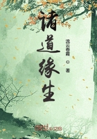 探索者的羽翼风车动漫