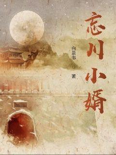 迪拉夫人第一季电视剧在线观看