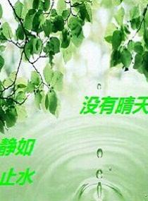 洞房之夜做的事