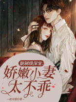 崛起官场