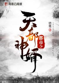 四季视频在线看免费