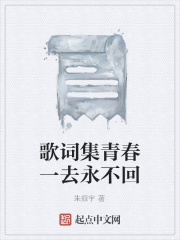 电视剧风流在线观看