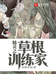 海贼王娜美罗宾女帝齐上证