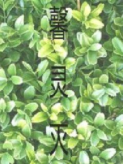 挠脚心堵尿失禁文章
